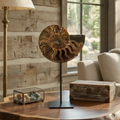 Madagascar Ammonite Fossil on Stand
