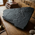 Fern Fossil