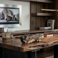Petfrified Wood Fossil
